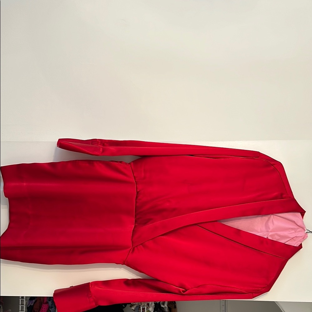Zara Vibrant Red Long Sleeve Dress